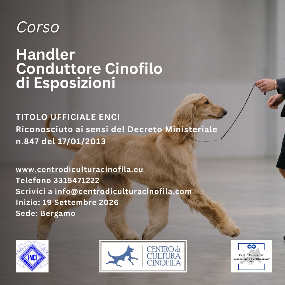 Immagine evento