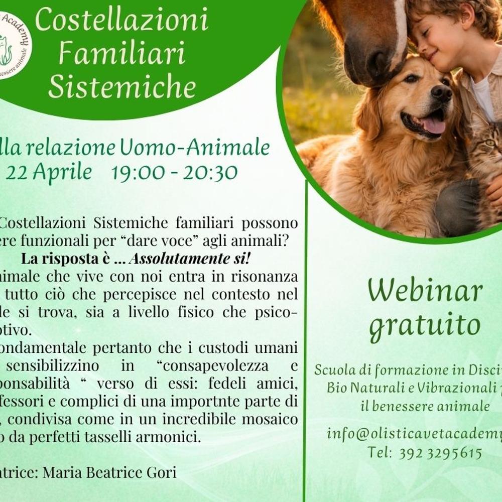 Immagine evento