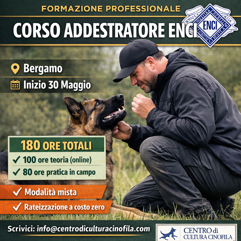Immagine evento