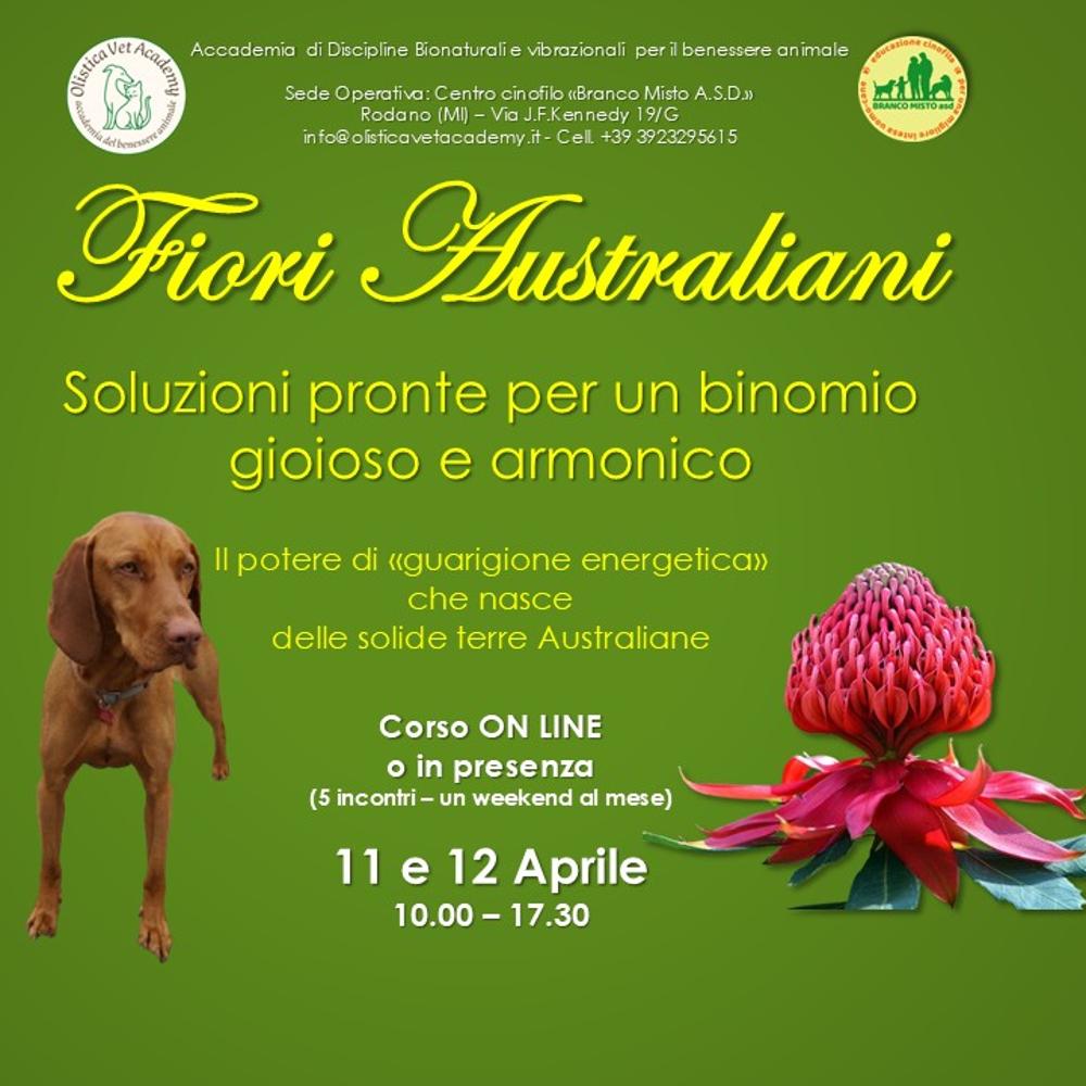 Immagine evento