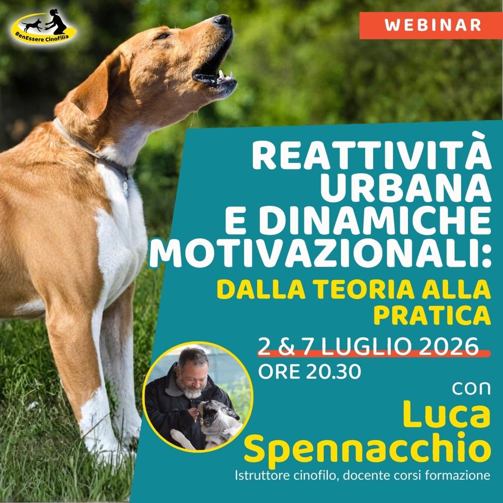 Immagine evento