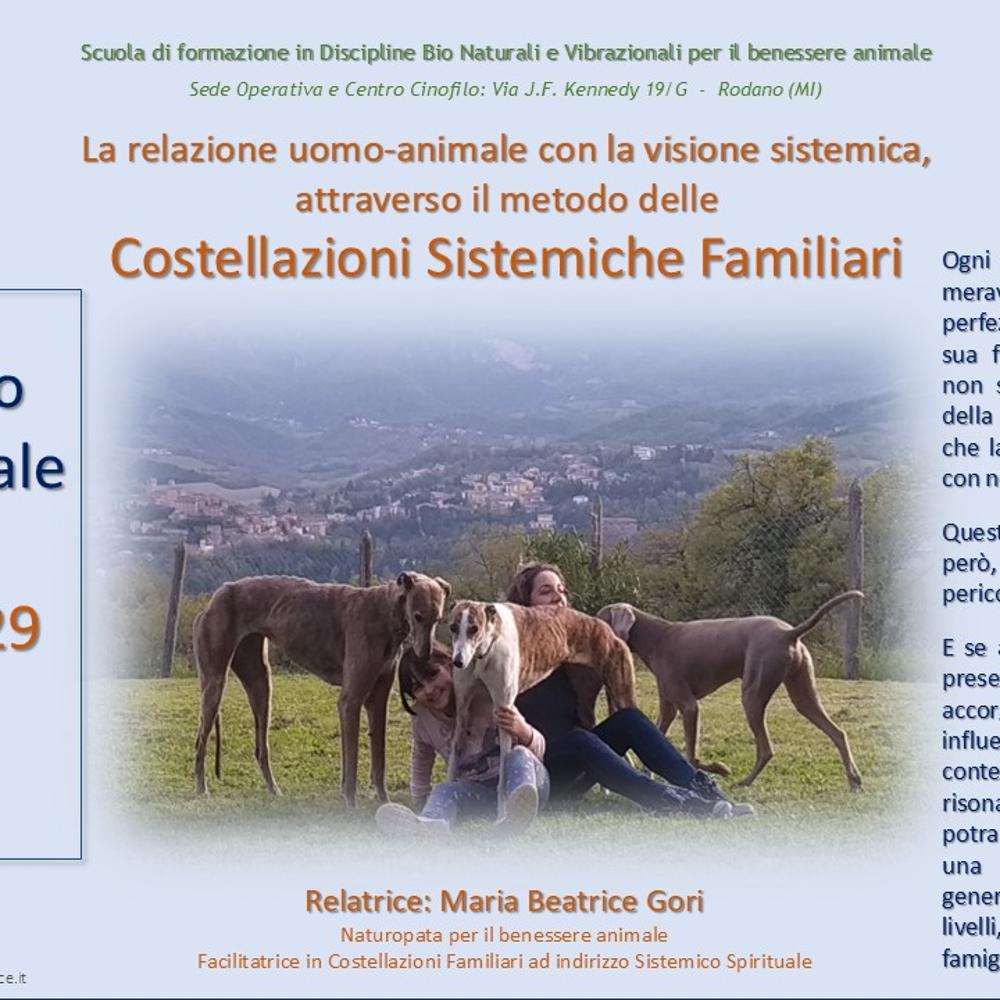 Immagine evento