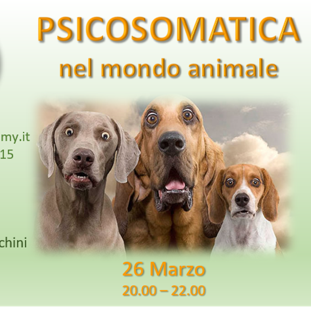 Immagine evento