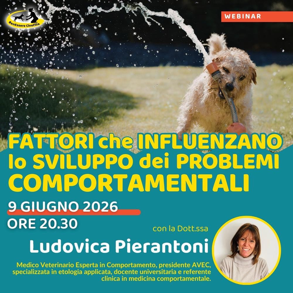 Immagine evento