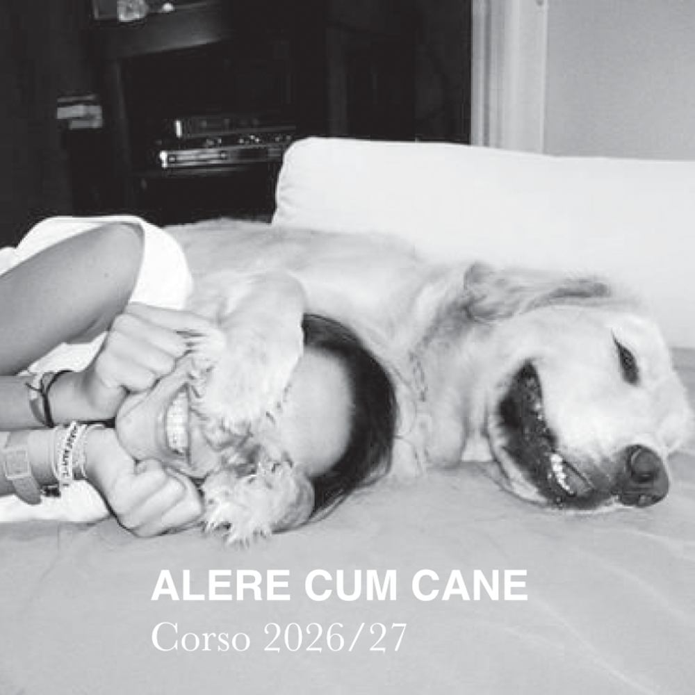 Immagine evento