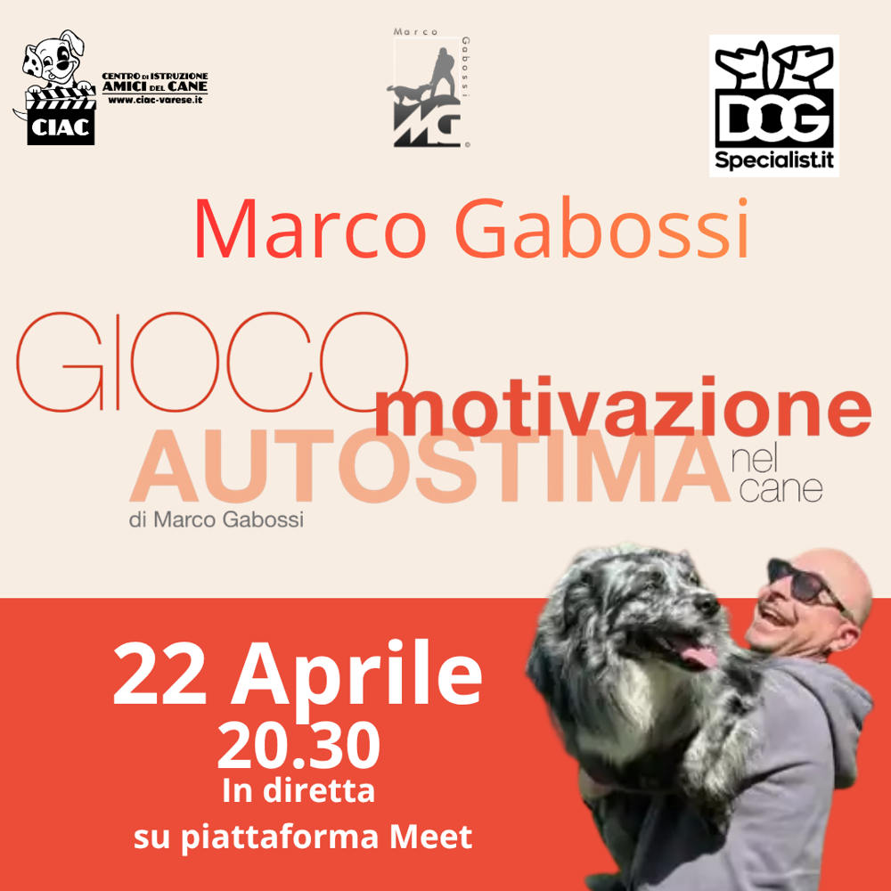 Immagine evento