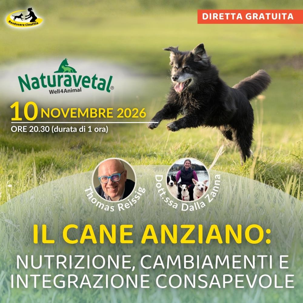 Immagine evento