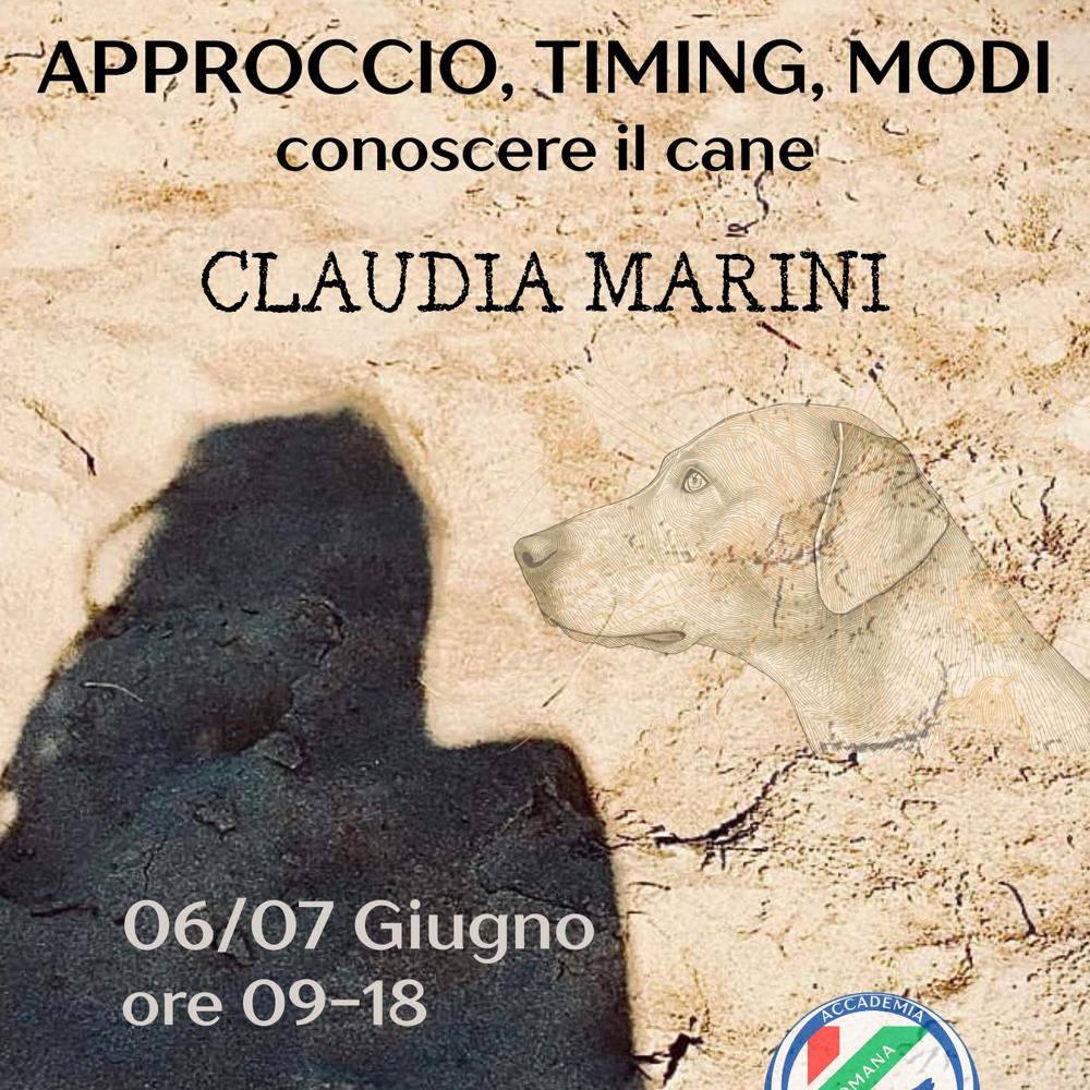 Immagine evento