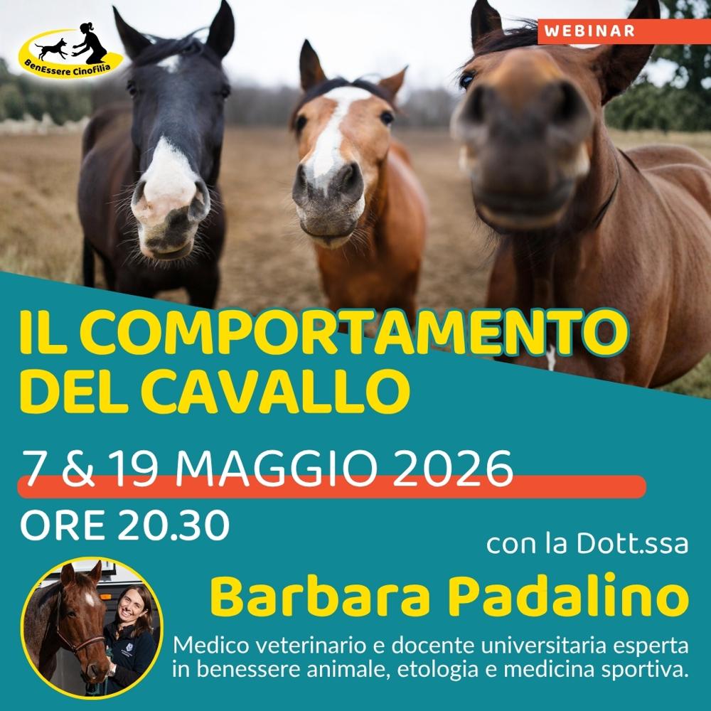 Immagine evento