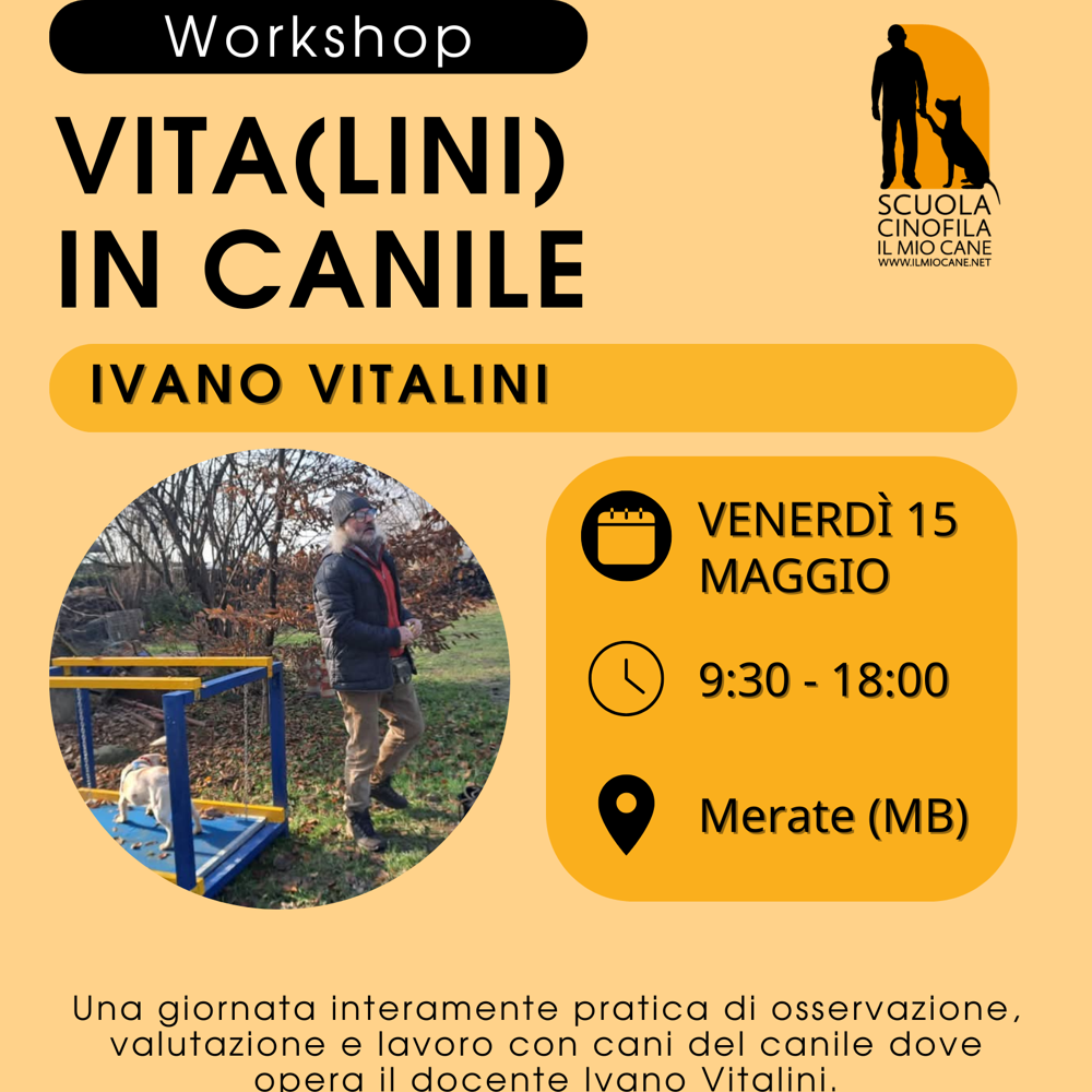 Immagine evento