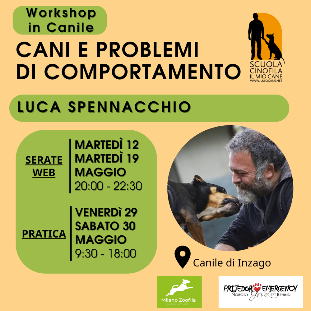 Immagine evento