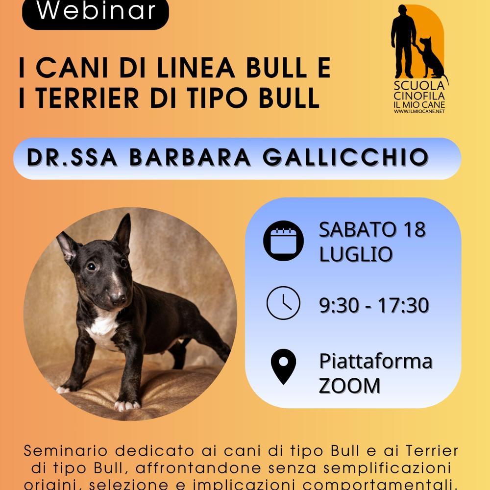 Immagine evento