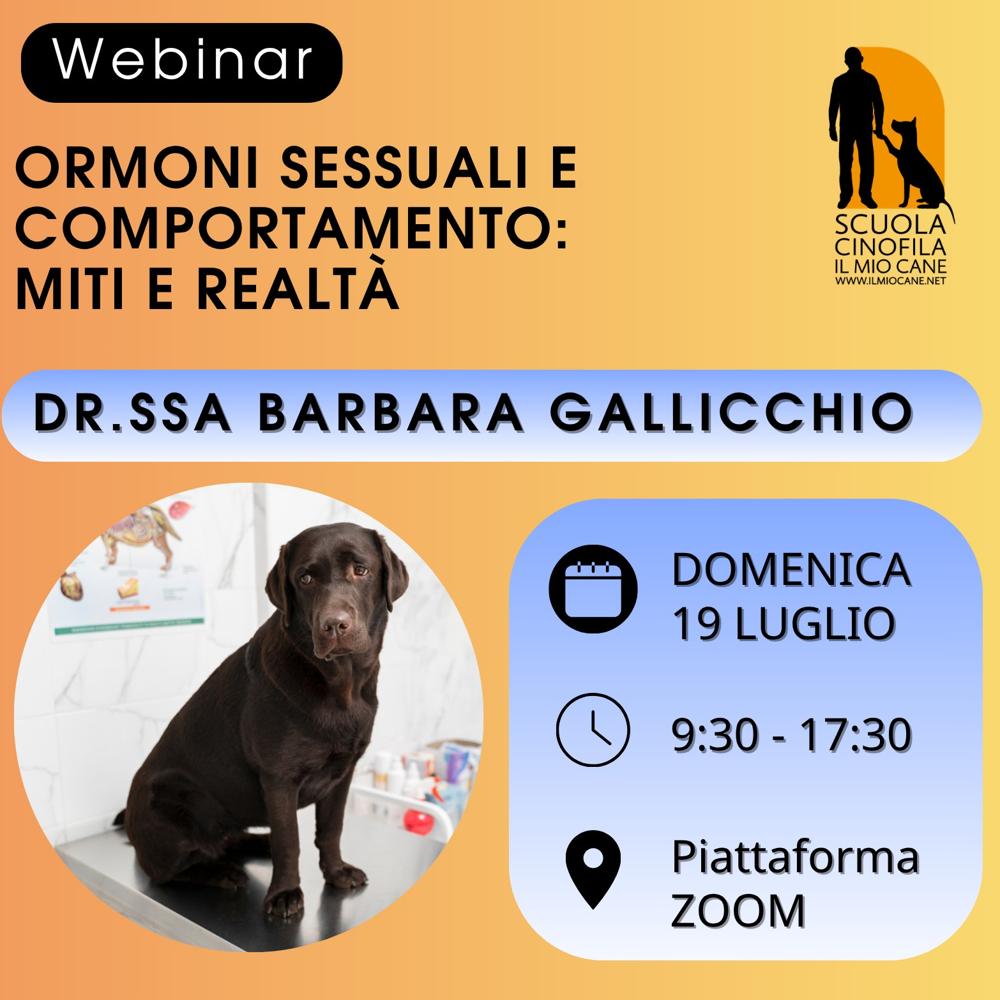 Immagine evento