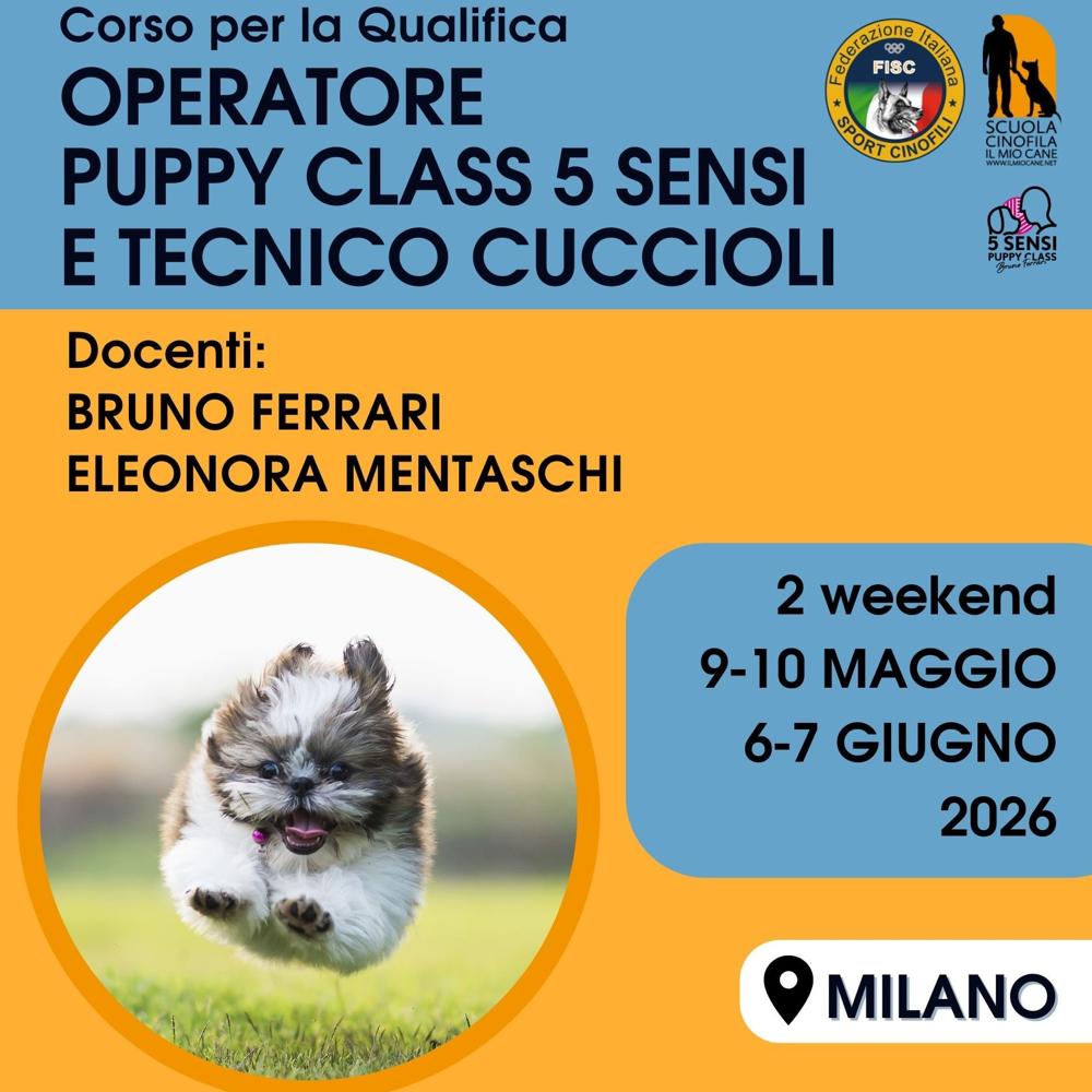 Immagine evento
