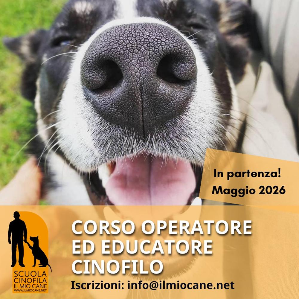 Immagine evento
