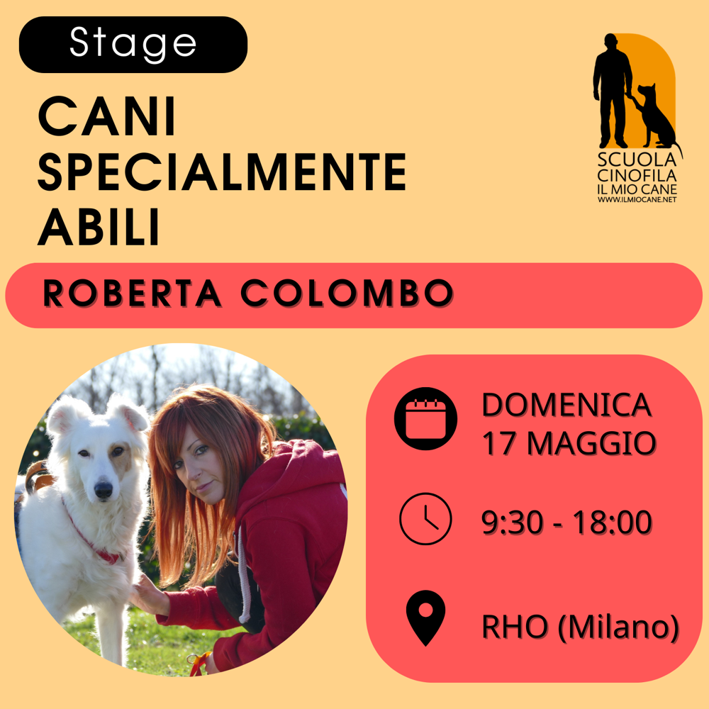 Immagine evento