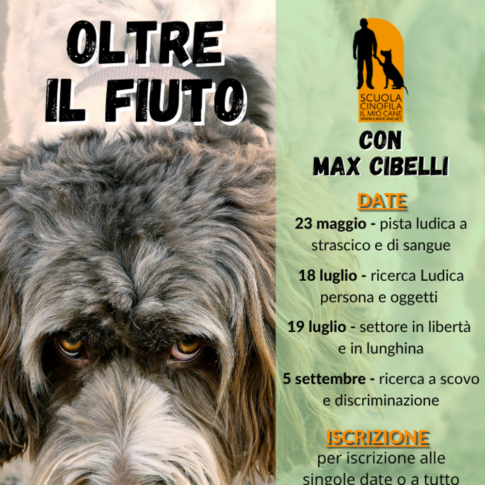 Immagine evento