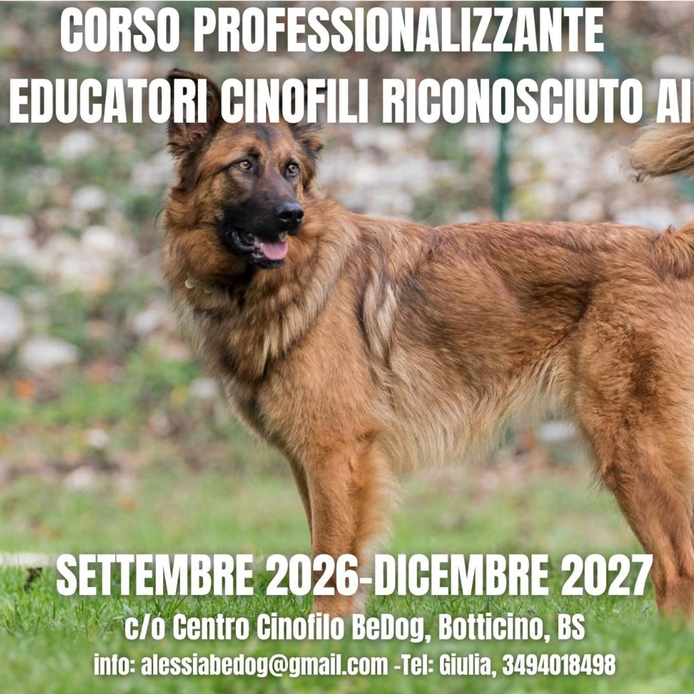 Immagine evento
