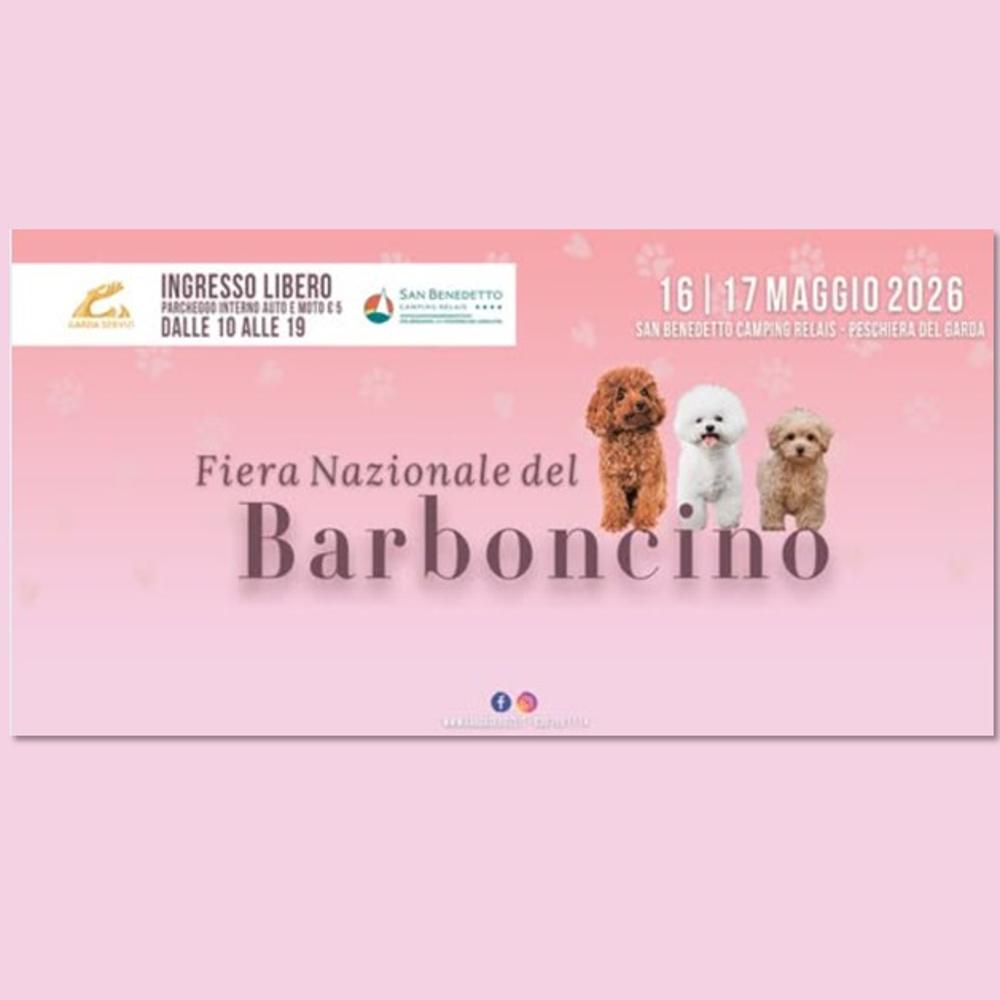 Immagine evento
