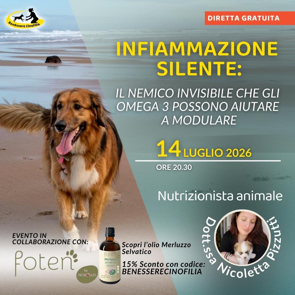 Immagine evento