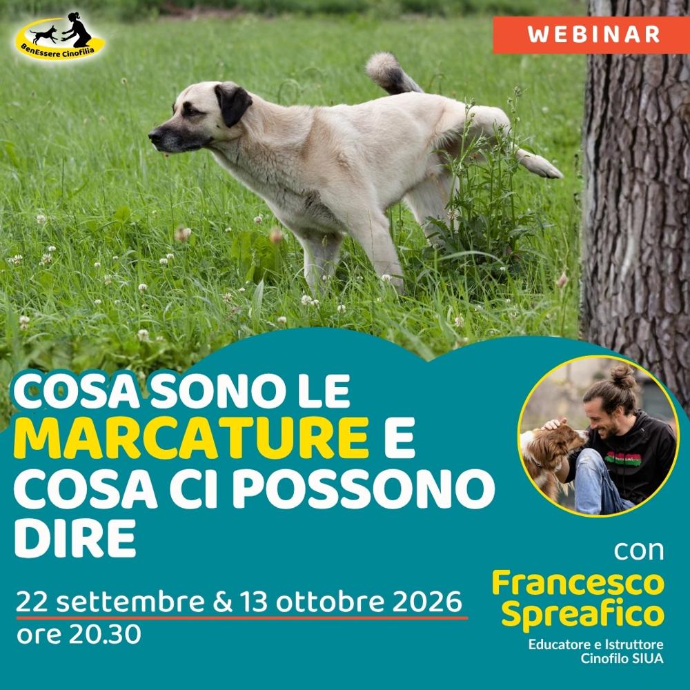 Immagine evento