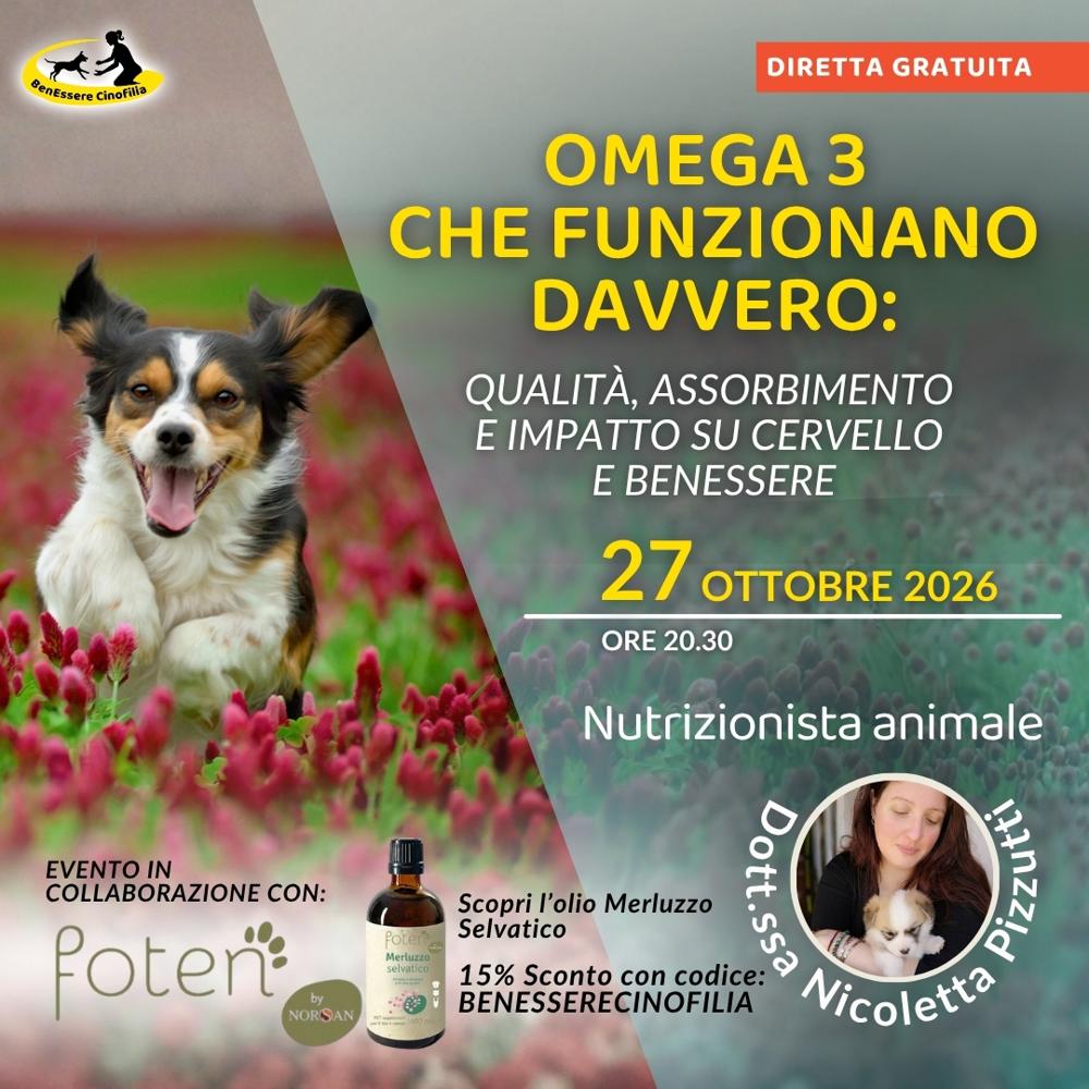 Immagine evento