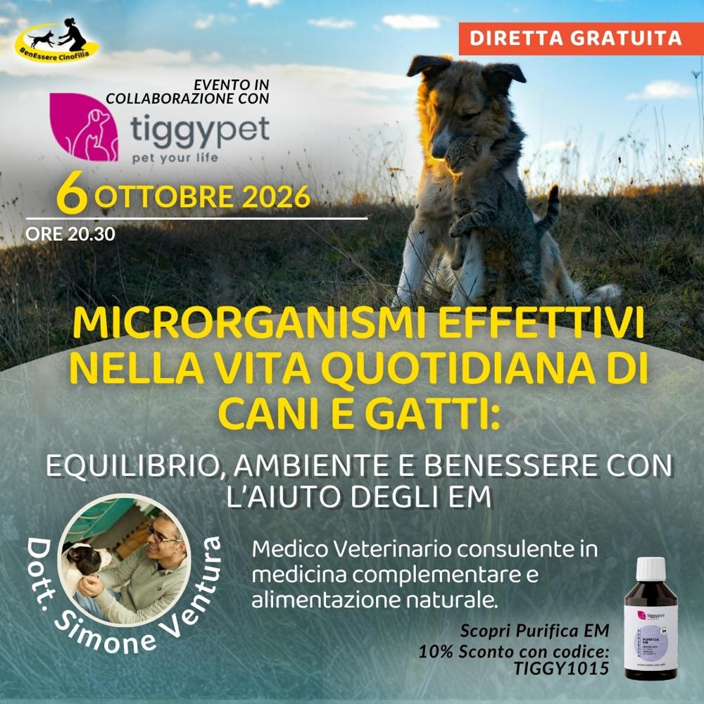 Immagine evento