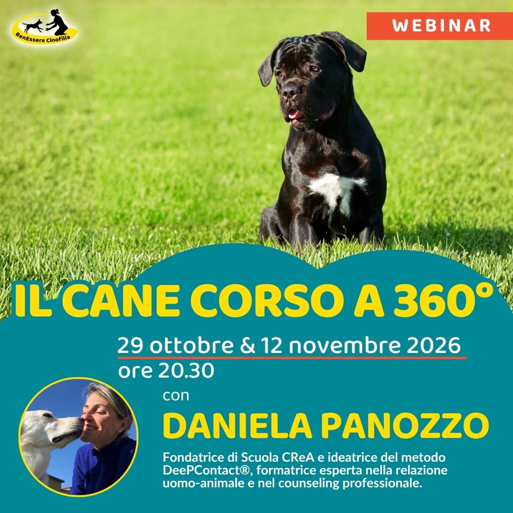 Immagine evento