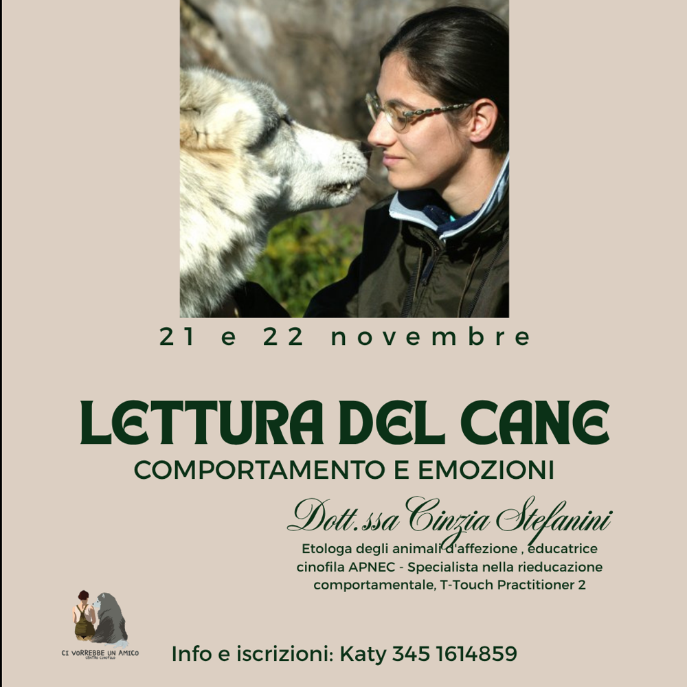 Immagine evento