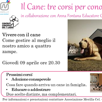 Immagine evento