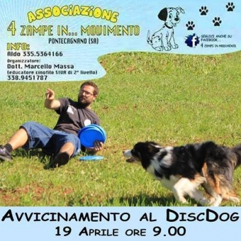 Immagine evento