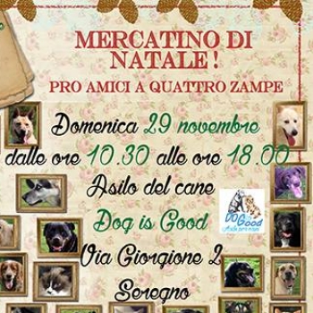 Immagine evento