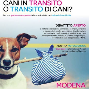 Immagine evento