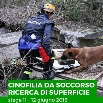 Immagine evento