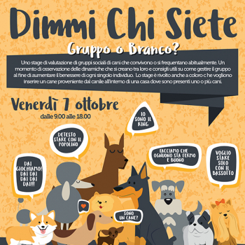 Immagine evento