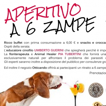 Immagine evento