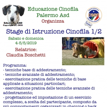 Immagine evento