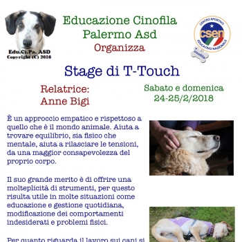 Immagine evento