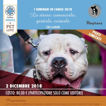 Immagine evento