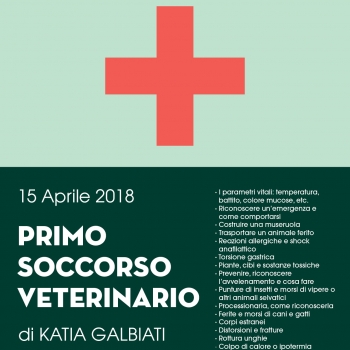 Immagine evento