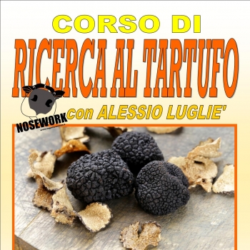 Immagine evento
