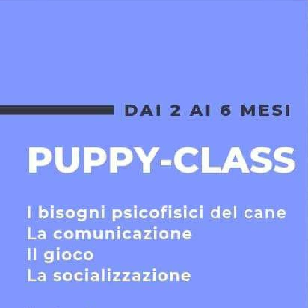 Immagine evento