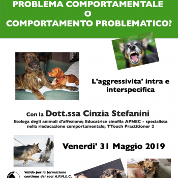 Immagine evento