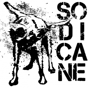 Immagine evento