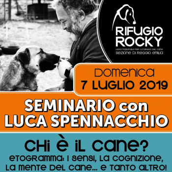 Immagine evento