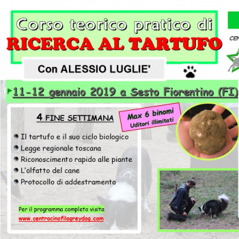Immagine evento