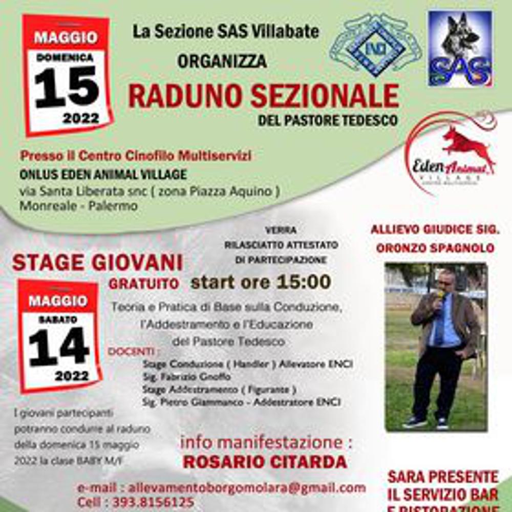 Immagine evento