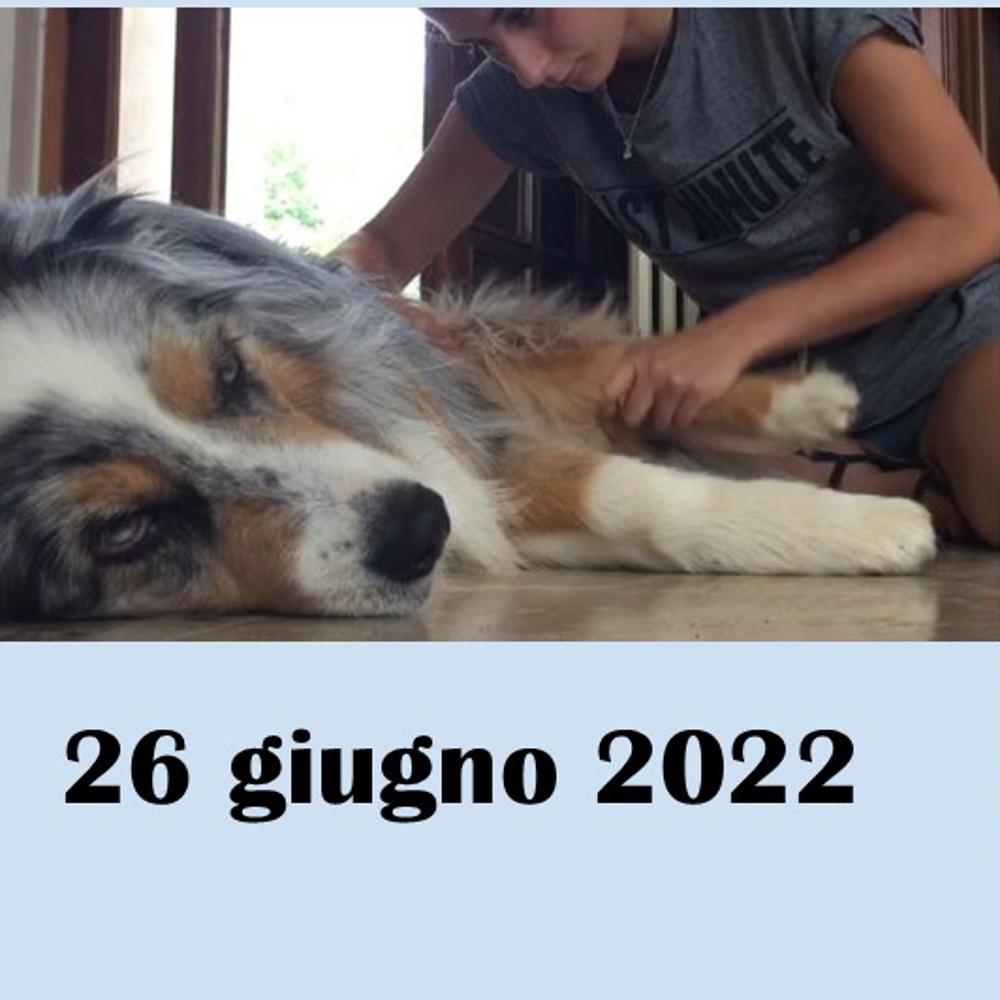 Immagine evento