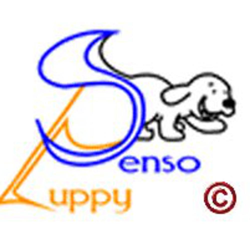Immagine evento