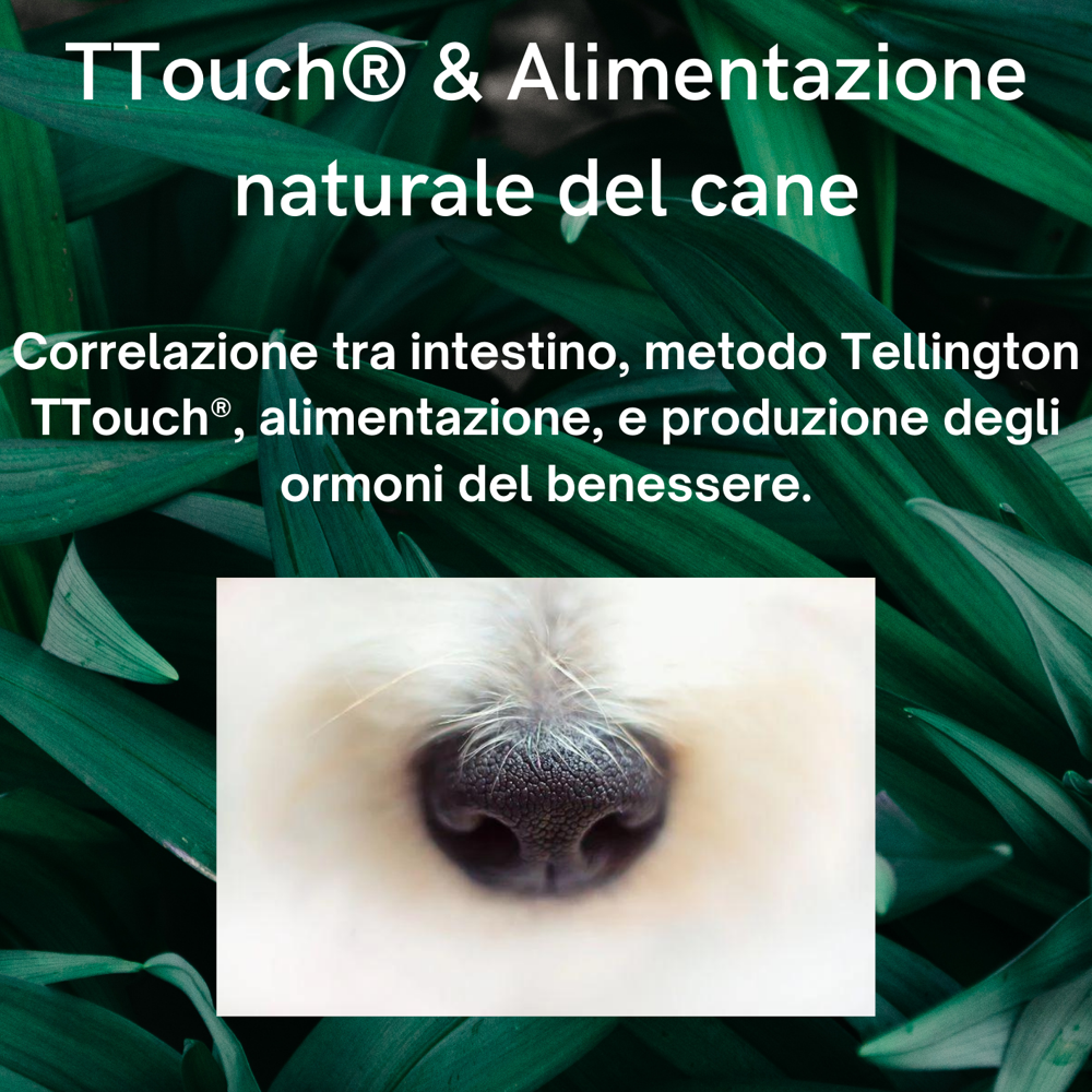 Immagine evento